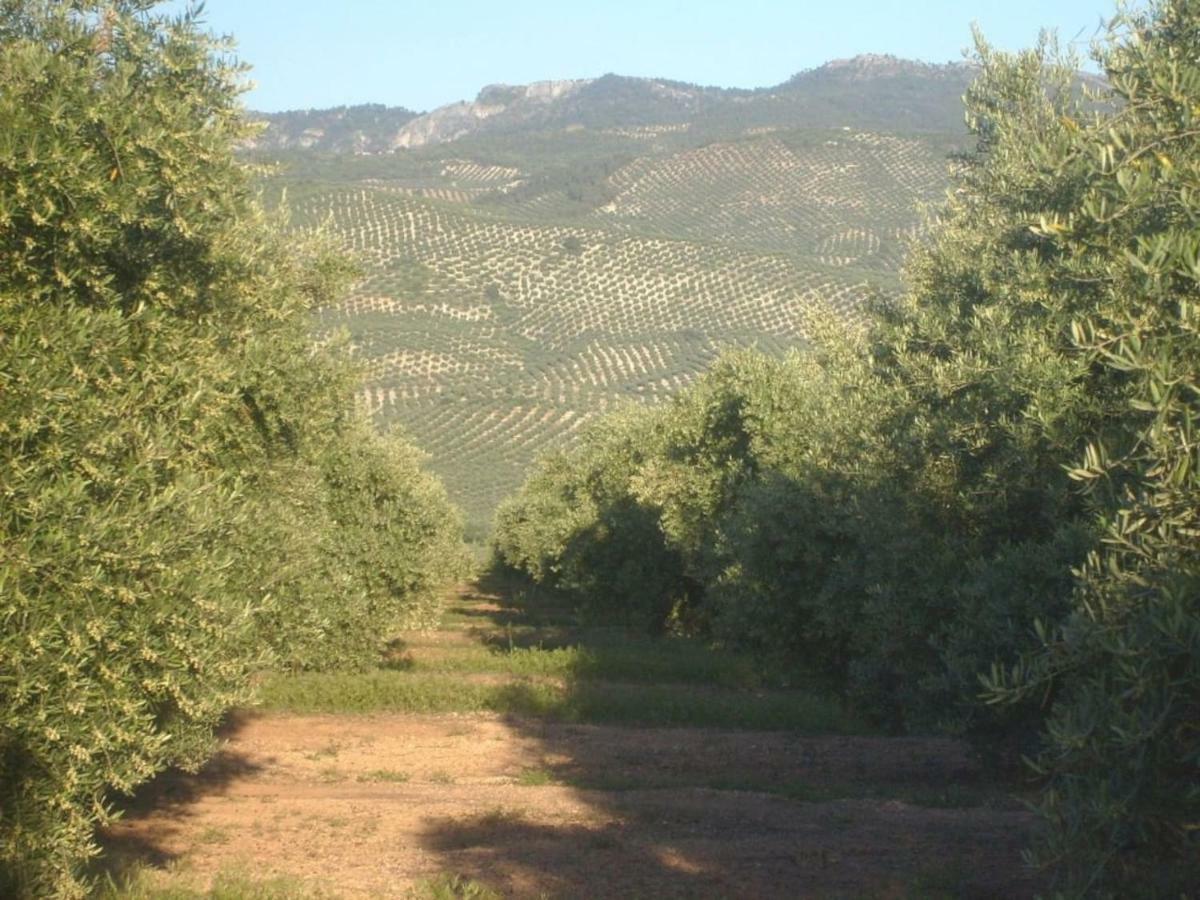 Cortijo El Derramadero Villa Виякарийо Екстериор снимка