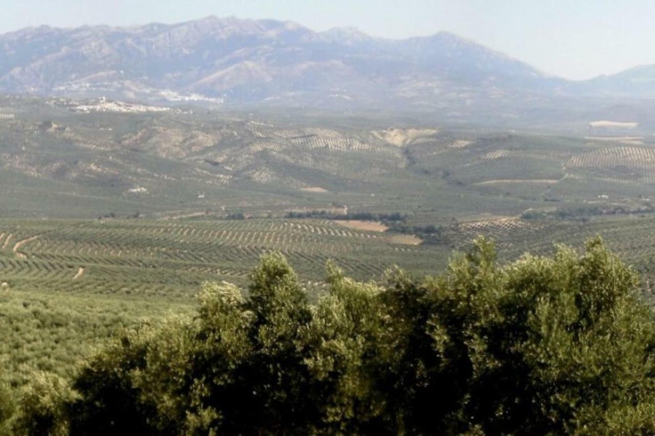 Cortijo El Derramadero Villa Виякарийо Екстериор снимка